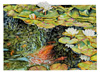 Koi in Motion watwecolor by Sally Robertson